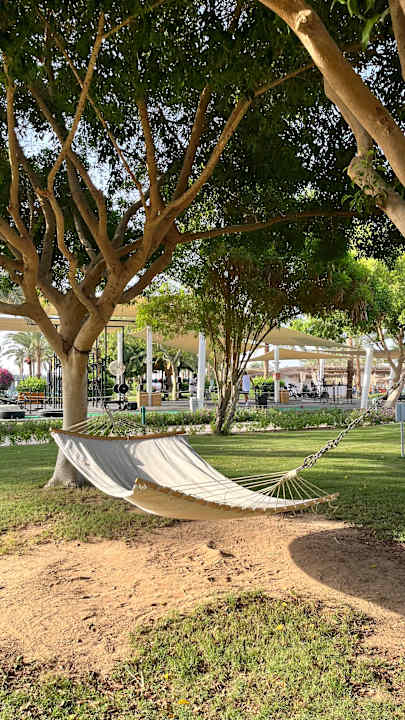 Gartenanlage Desert Rose