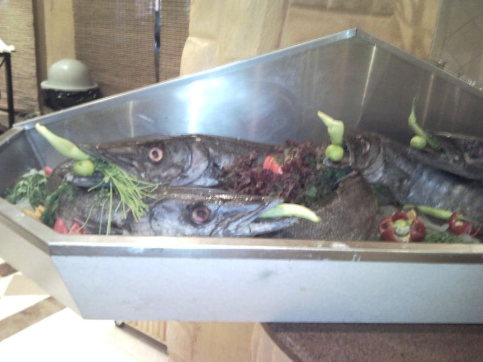 Fisch Pickalbatros Alf Leila Wa Leila Resort - Neverland Hurghada