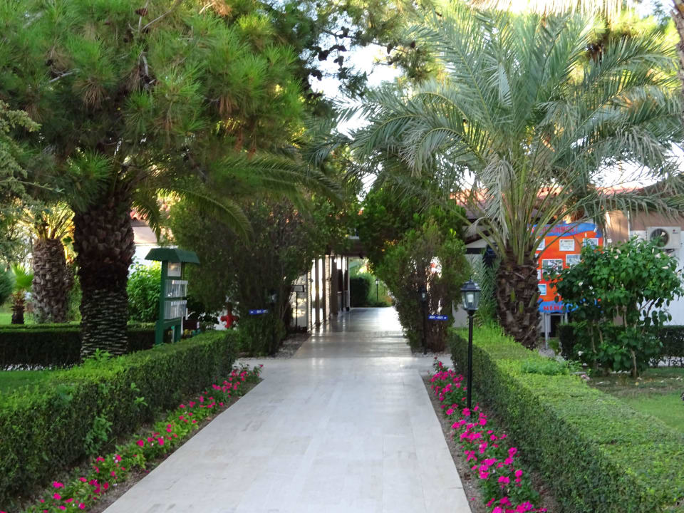 Richtung Strand Hotel Club Nena