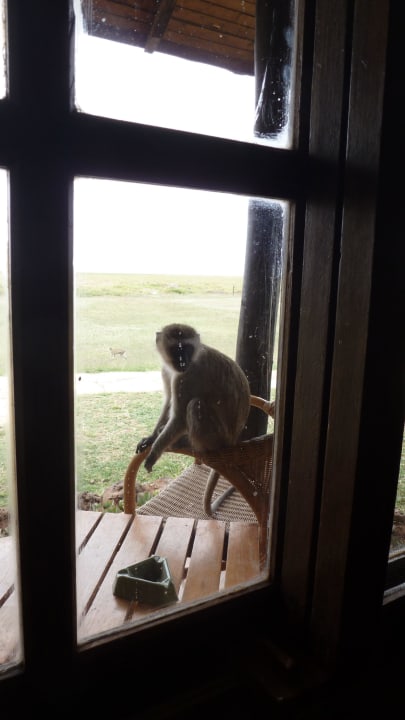 Besuch  Ol Tukai Lodge
