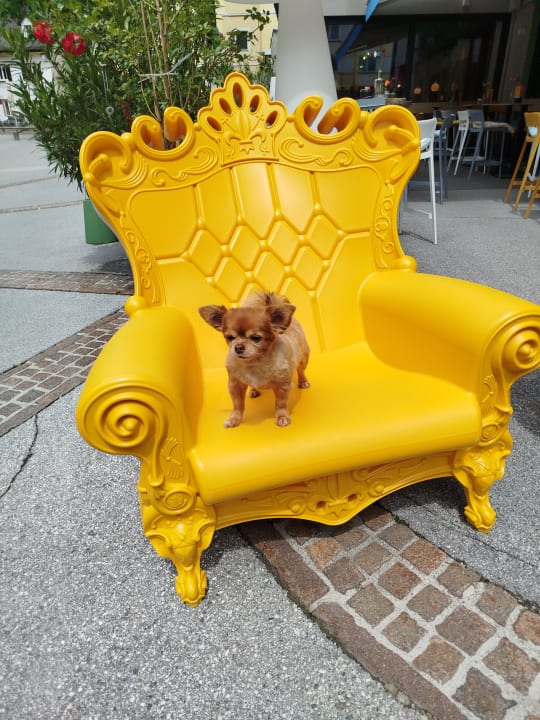 Sonstiges Johannesbad Hotel Palace