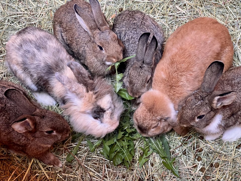 Sonstiges Daxlberger Hof