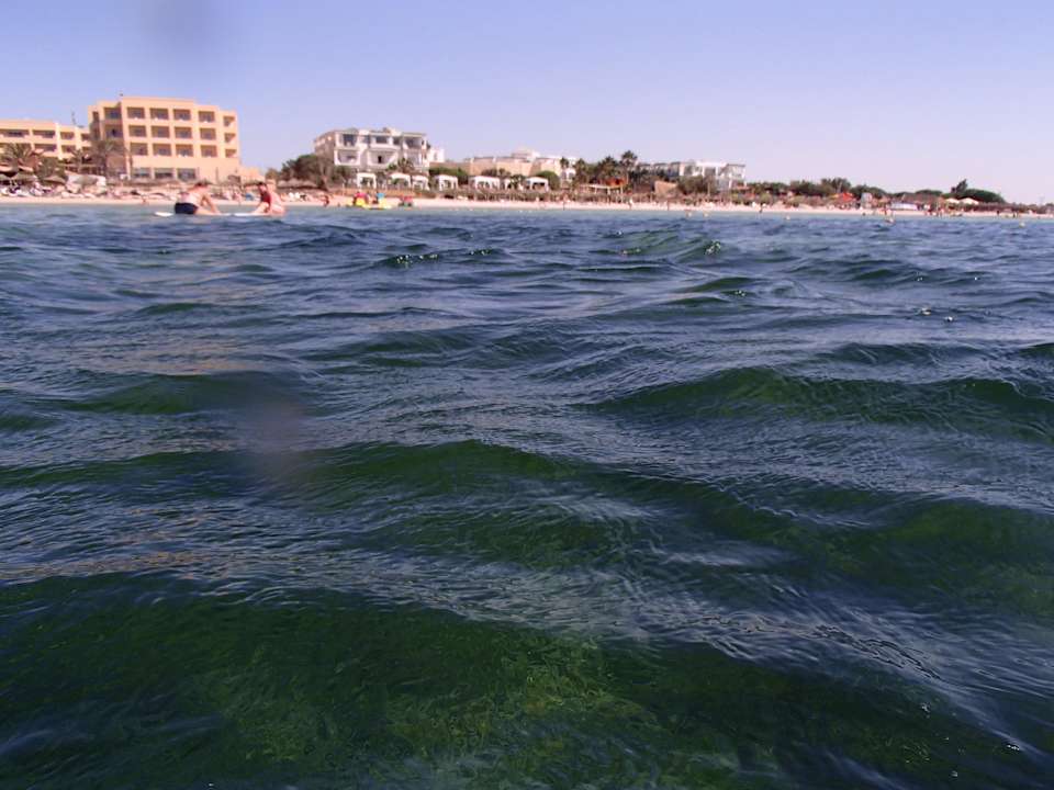 Hotel vom Meer aus Hotel Rosa Beach