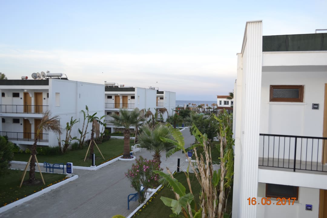 Ausblick Labranda Lebedos Princess