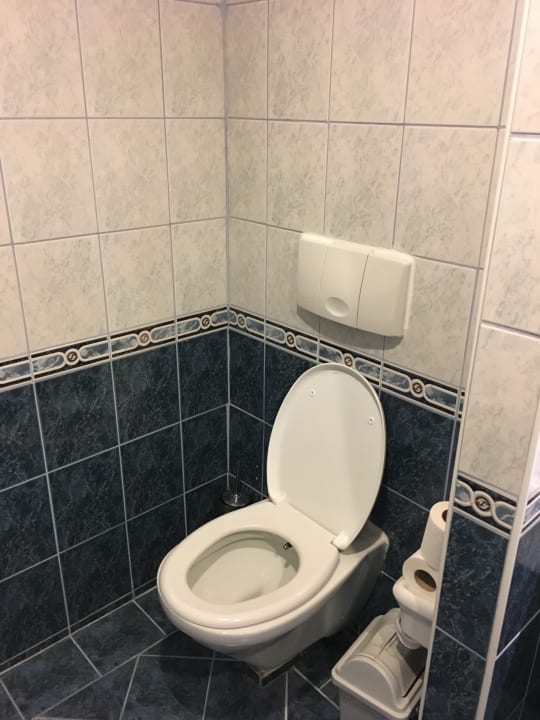 Zimmer Papillon Belvil