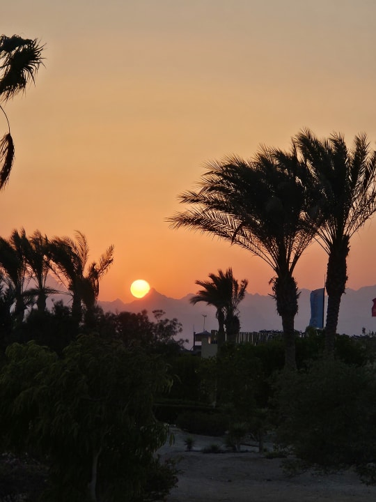 Ausblick Hotel Kempinski Soma Bay