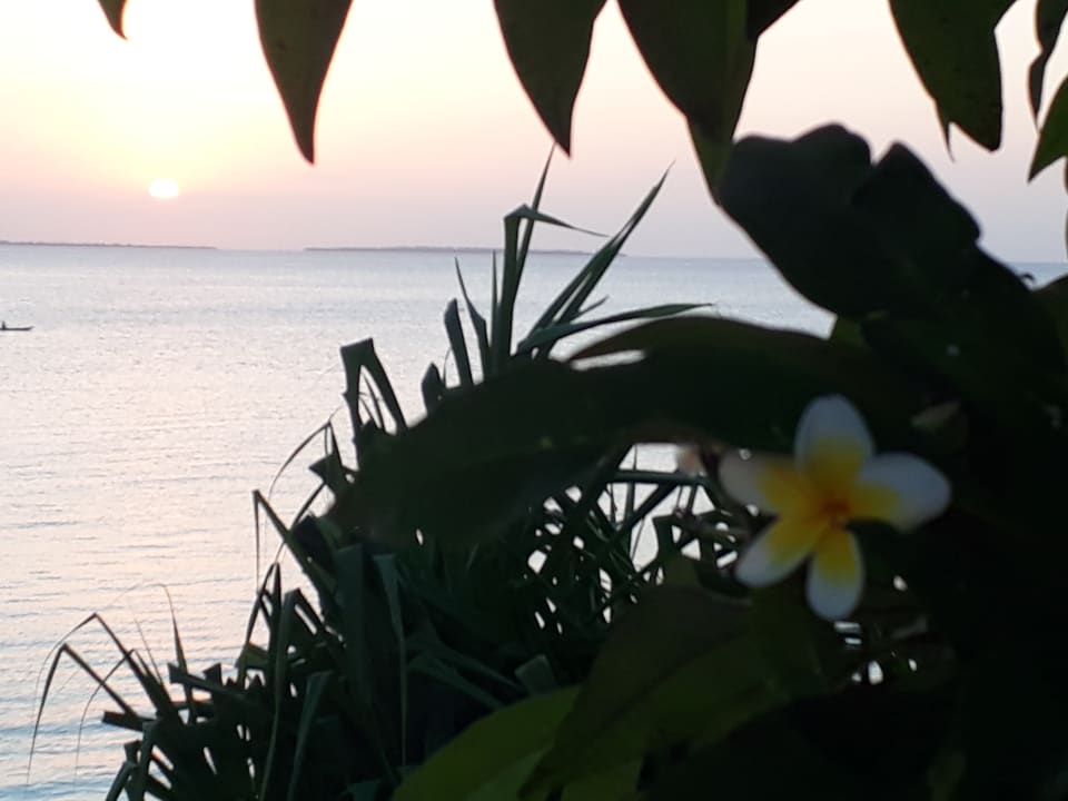 Ausblick Hotel Riu Palace Zanzibar