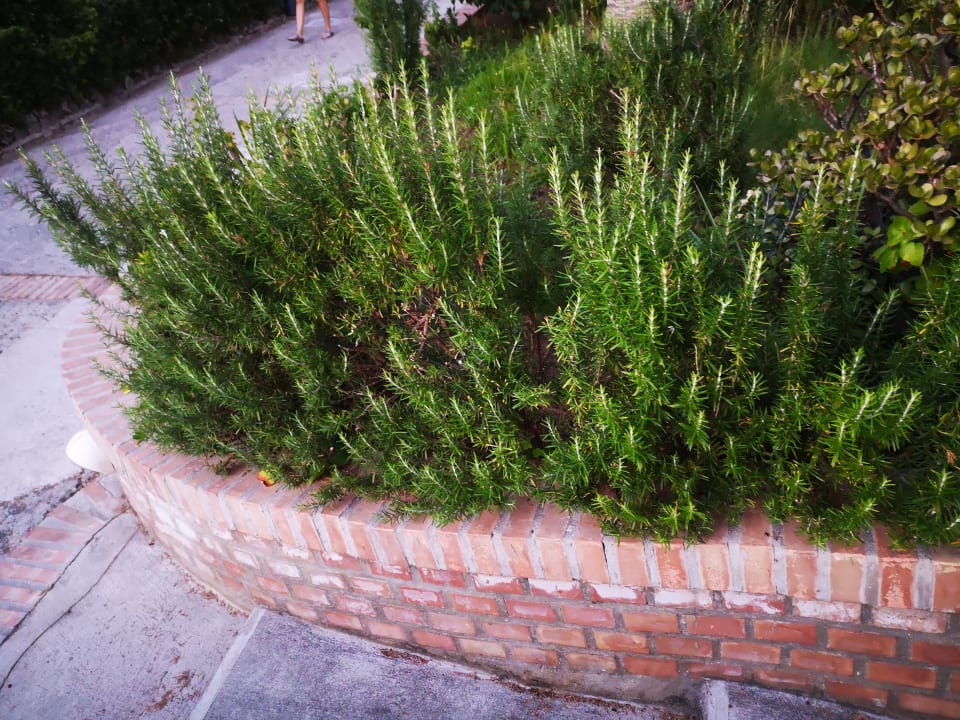 Gartenanlage Aldiana Club Rocca Nettuno Calabria