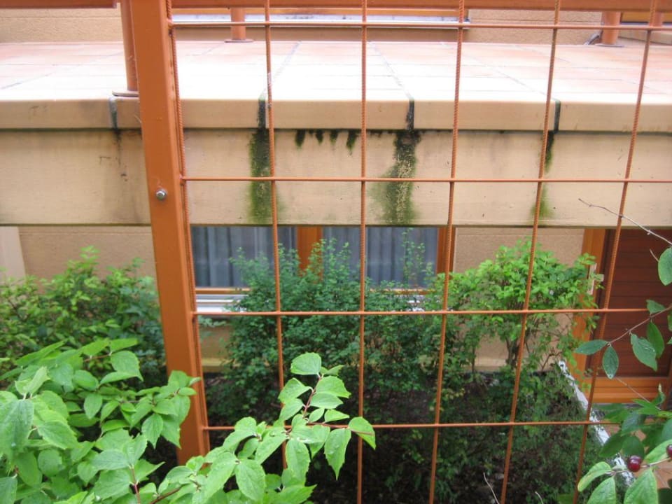 Terrasse... Cliff Hotel Rügen