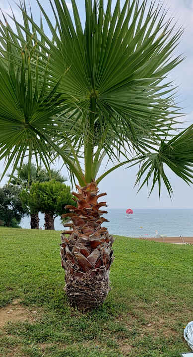 Gartenanlage allsun Numa Club Side