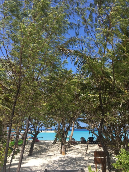 Gartenanlage Summer Island Maldives