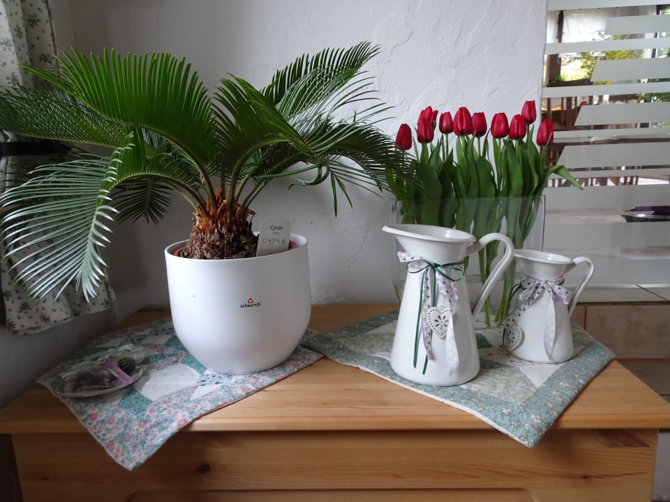 Zimmer Ferienwohnung Panorama