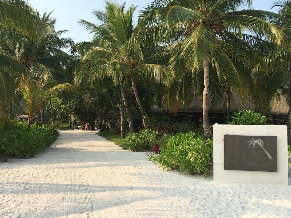 Erster Blick vom Steg nach der Ankunft  Kuredu Island Resort & Spa