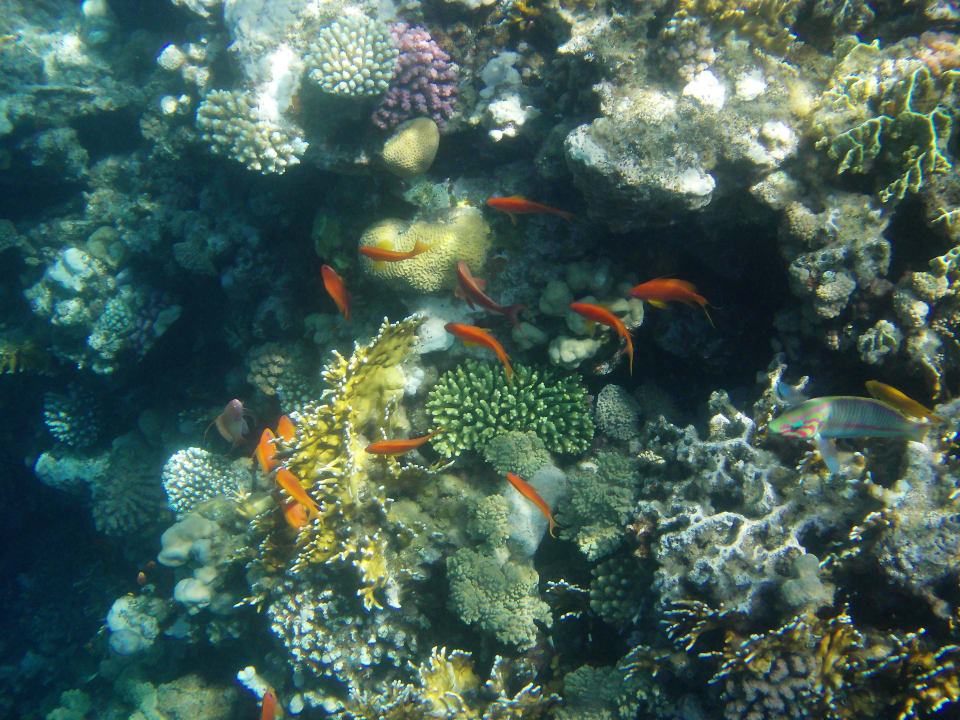 Wunderschönes Hausriff Happy Life Village