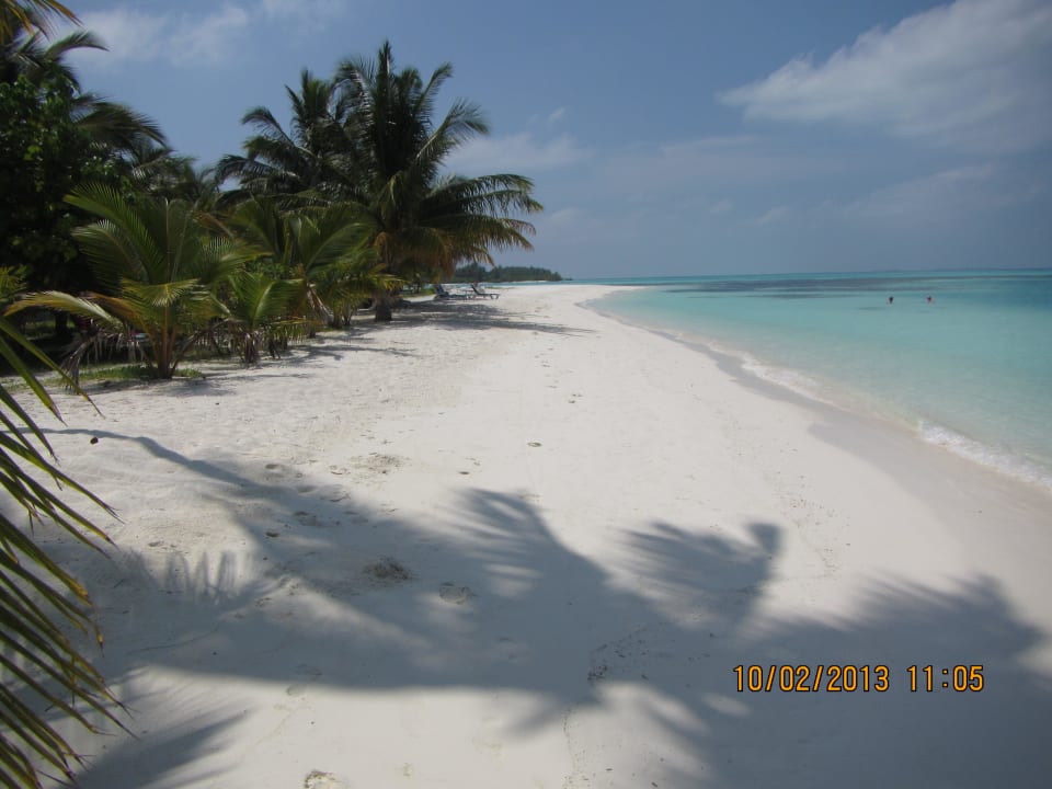 Meeru Morgens Meeru Maldives Resort Island
