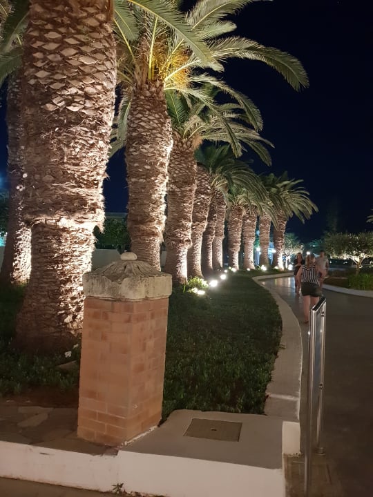 Außenansicht Hotel Aphrodite Beach Club