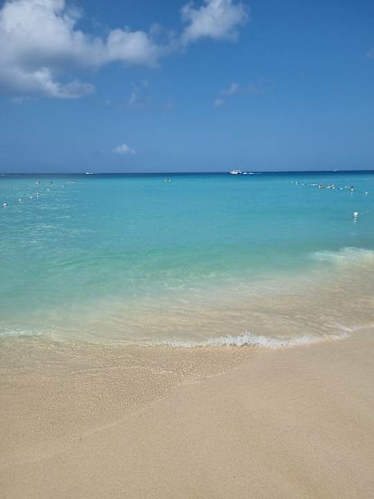 Strand Hotel Viva Dominicus Palace by Wyndham-All Inclusive Resort