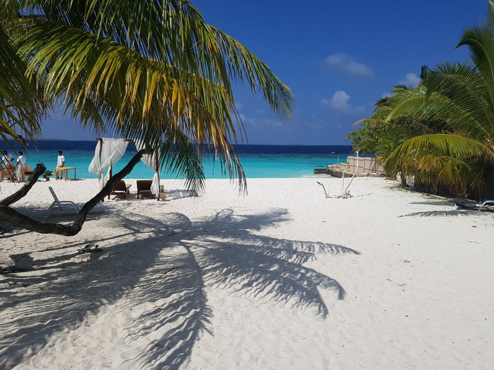 Strand Adaaran Select Meedhupparu Island Resort - Premium All Inclusive