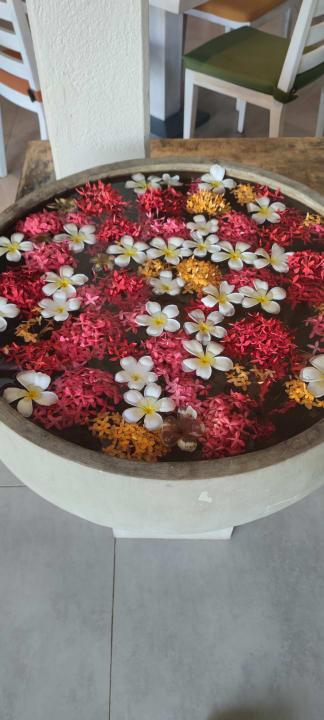 Gartenanlage Club Hotel Dolphin