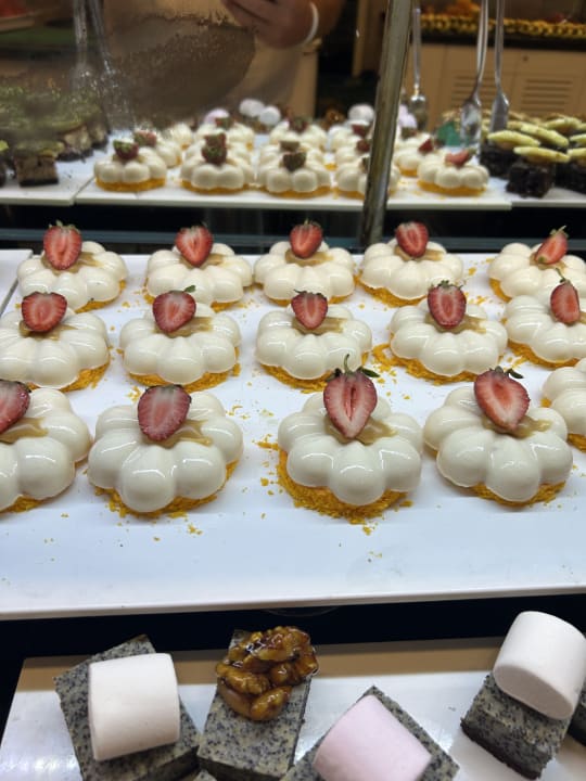 Gastro Well Palace Side