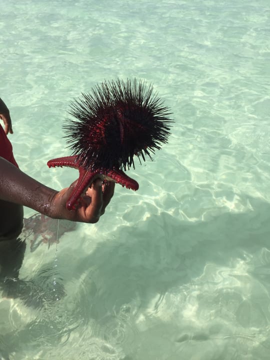 Strand Neptune Village Beach Resort & Spa