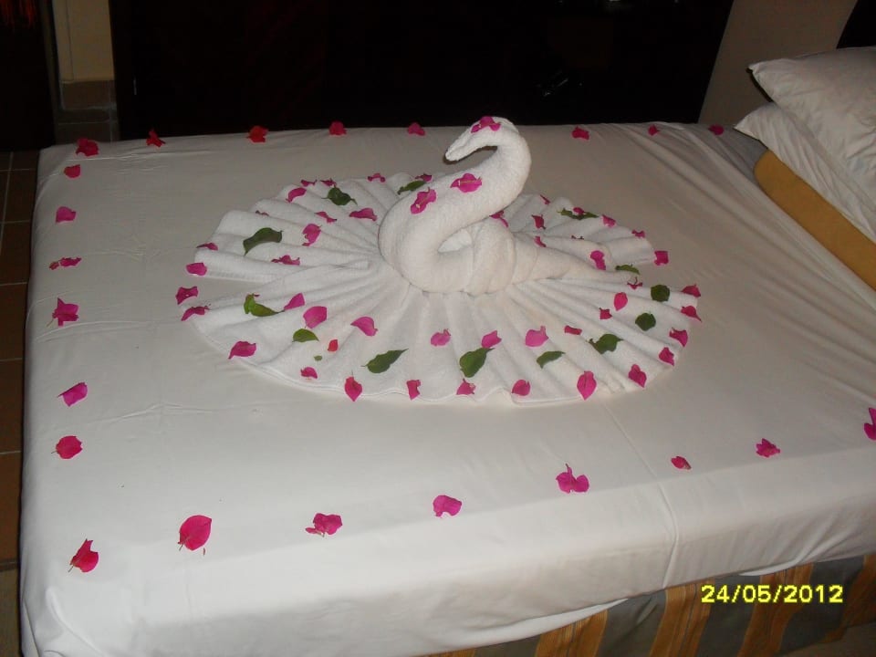 Schön gemacht Stella Beach Resort & Spa Makadi Bay