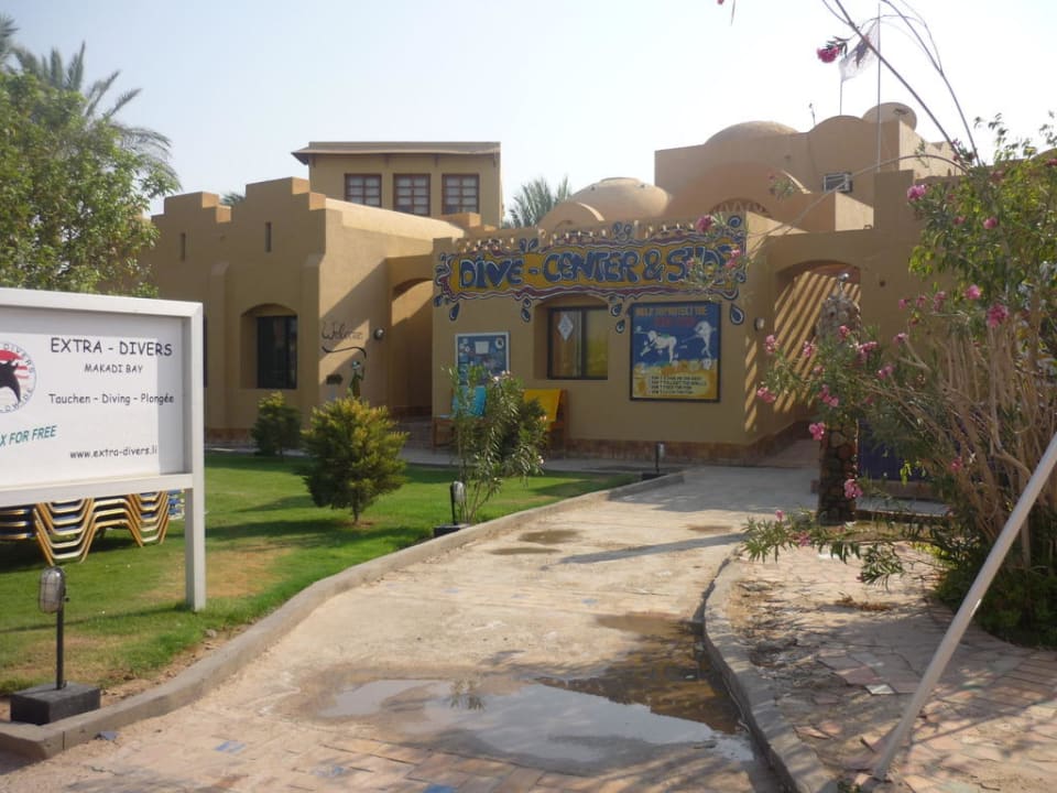 Tauchbasis und Sportanimation am Strand Jaz Makadi Oasis Resort