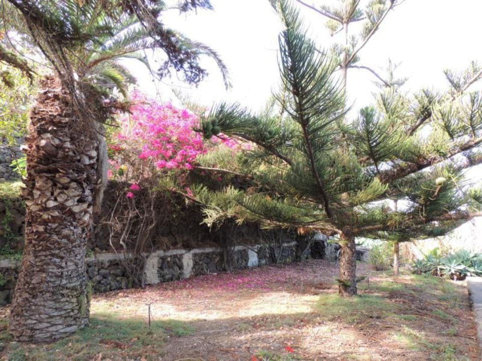 Auf dem Weg zum Strand Finca El Rincon