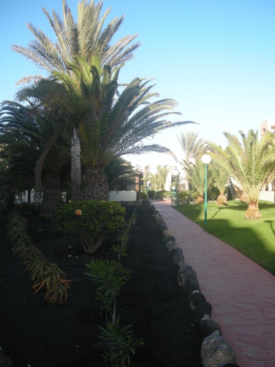 Sehr schöne, begrünte Anlage SBH Hotel Royal Monica
