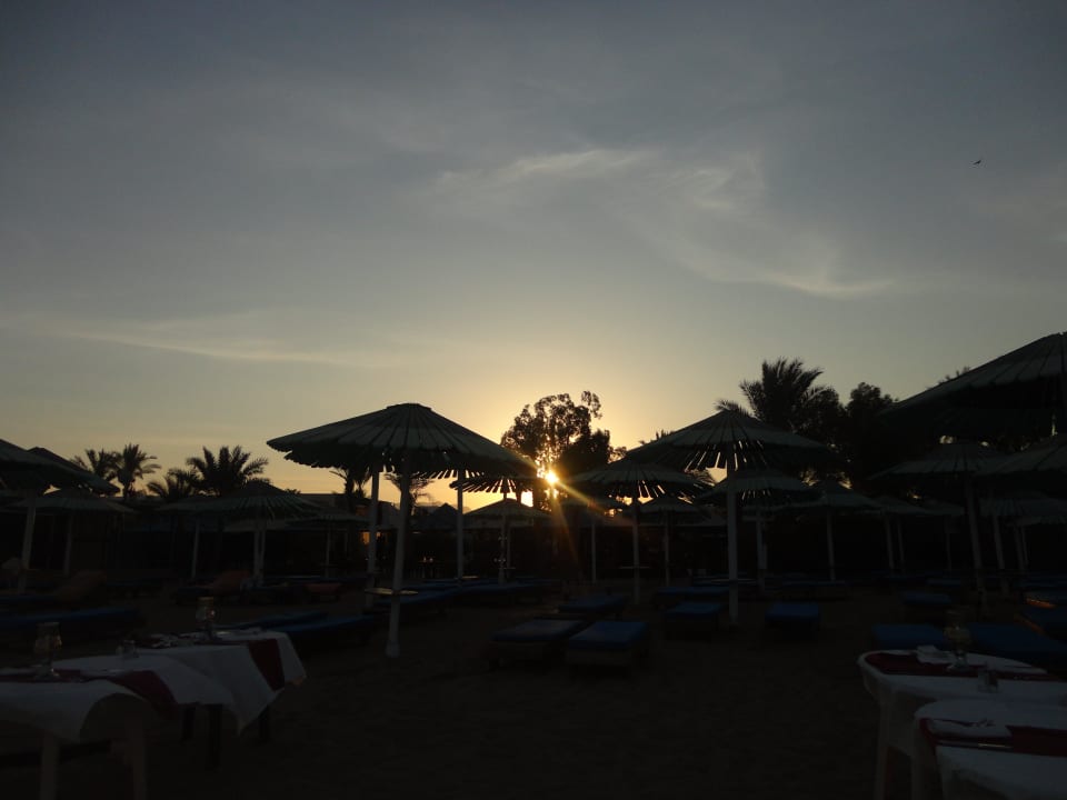 Strand Sonnenuntergang Ghazala Gardens