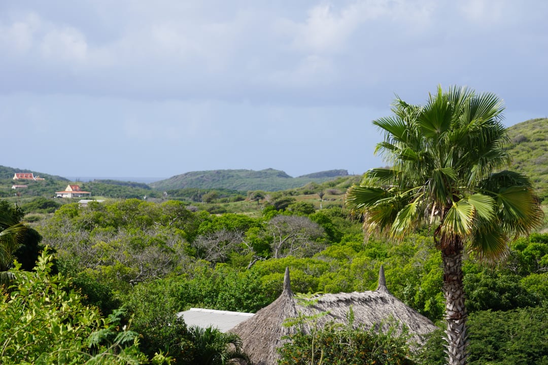 Ausblick Don Genaro Apartments