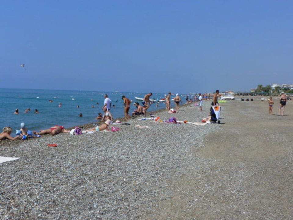 Strand Crystal Paraiso Aqua Collection