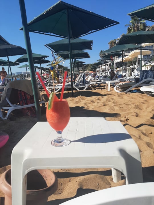 Gastro My Home Resort