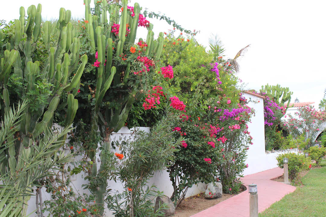 Wunderschöne Gartenanlage HL Miraflor Suites Hotel