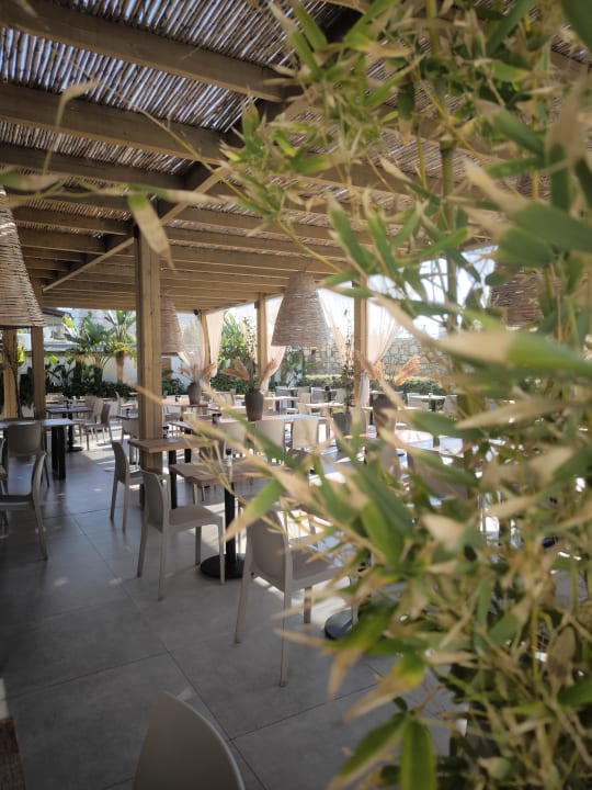 Gastro The Costa Lindia Blue Star - Adults only