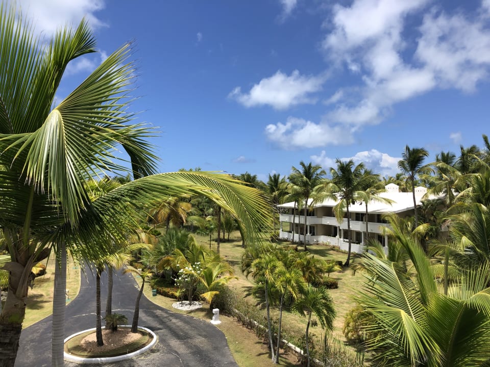 Ausblick Meliá Caribe Beach Resort-All Inclusive
