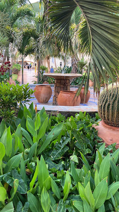 Gartenanlage Hotel Riu Touareg