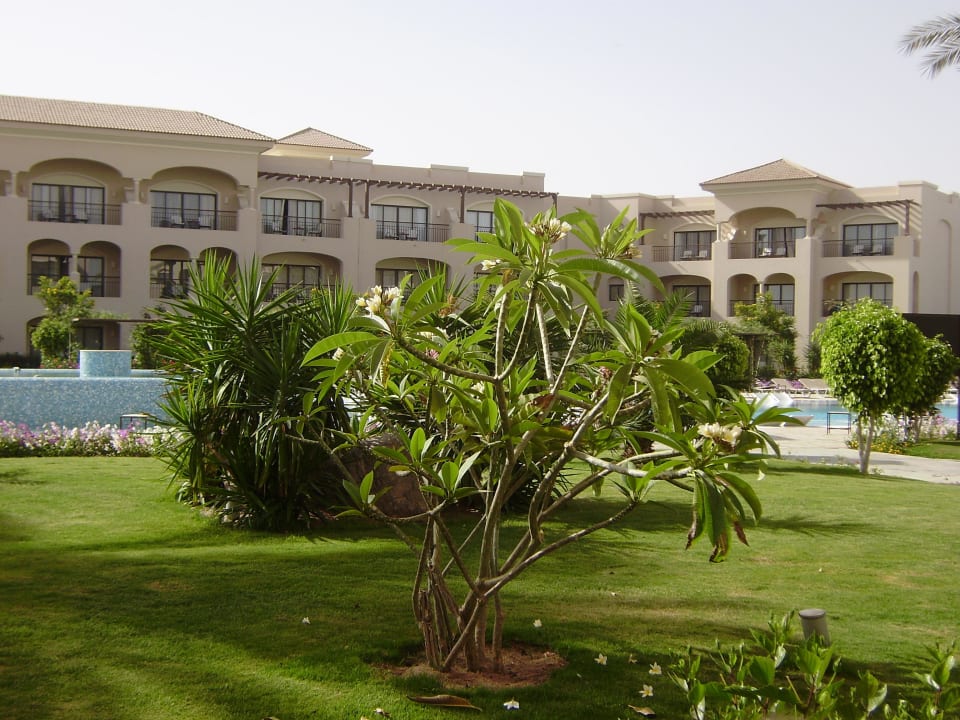 Gepflegte Gartenanlage JAZ Aquamarine Resort