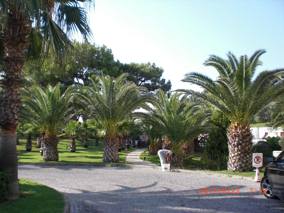 Vor dem Eingang zum Hotel X Life Hotel Sarıgerme