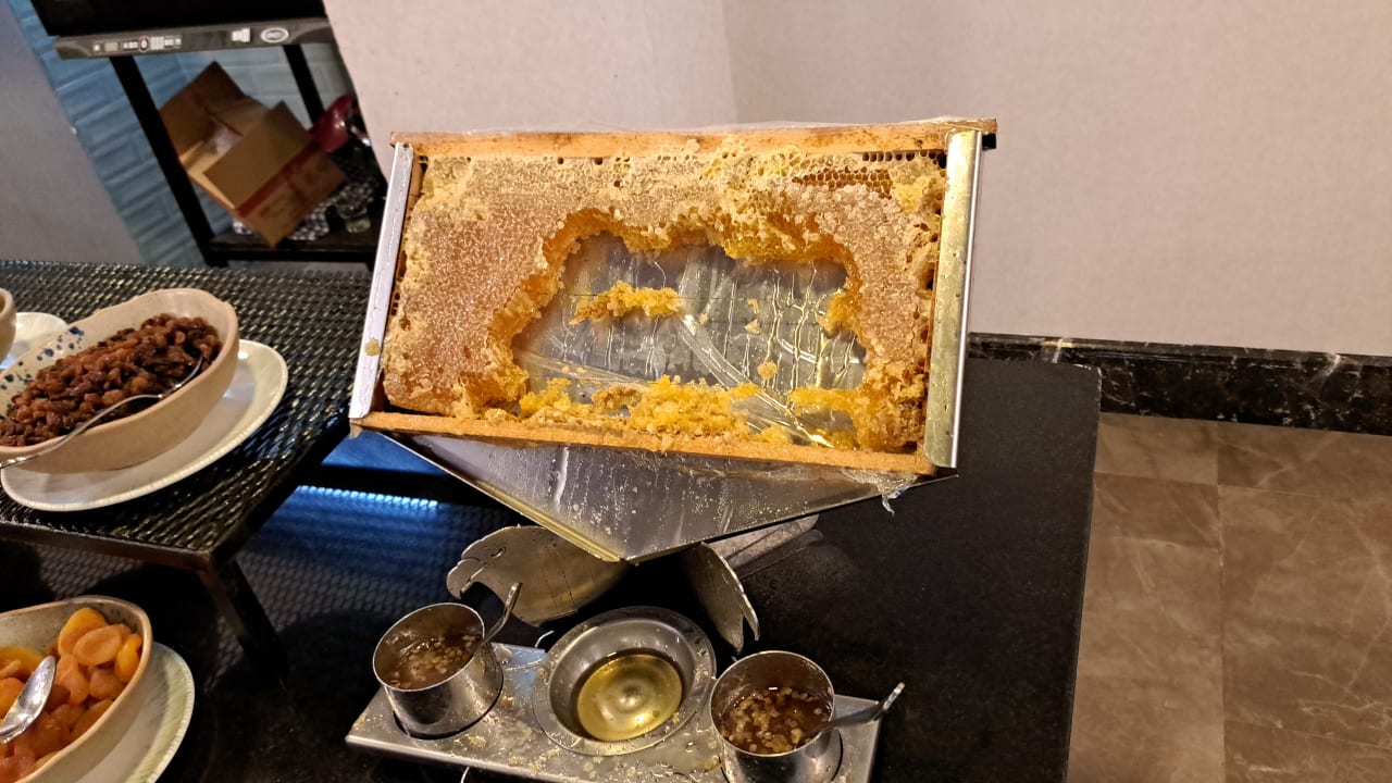 Gastro TUI MAGIC LIFE Beldibi +16