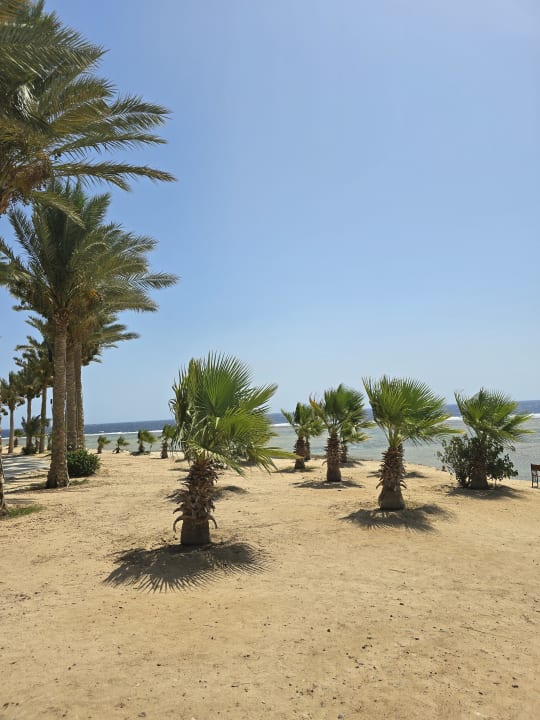 Strand Brayka Bay Resort