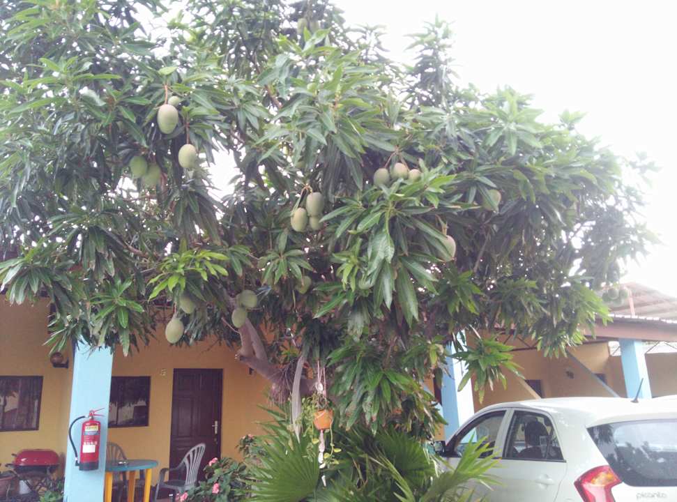 Sonstiges Hotel Cecil Paradise