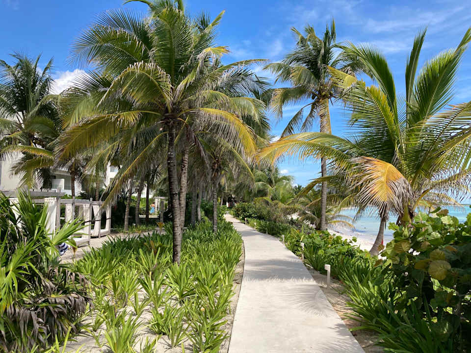 Gartenanlage Akumal Bay Beach & Wellness Resort