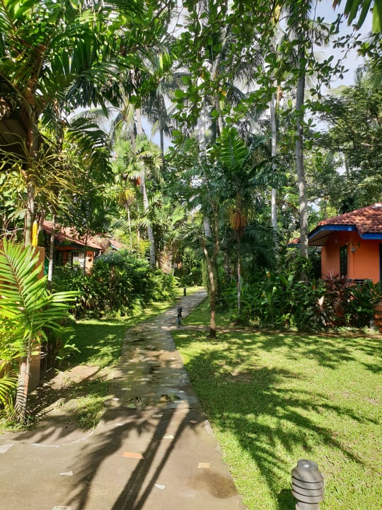 Gartenanlage Tradewinds Chaweng Cottages