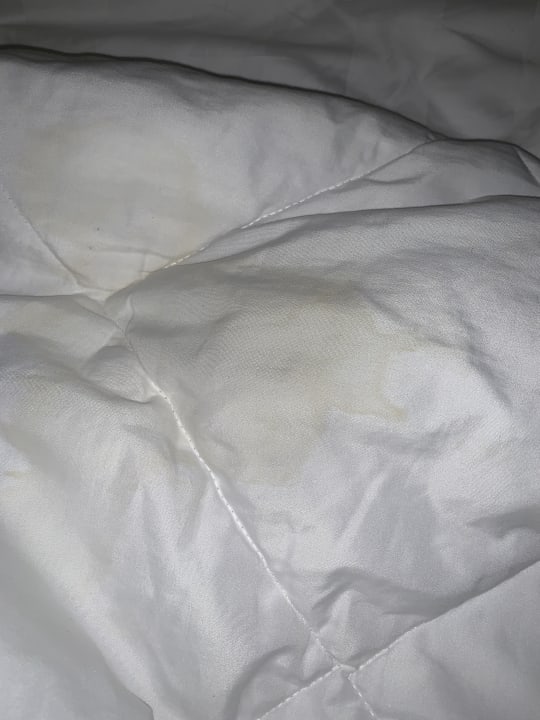 Zimmer The Glam Hotel