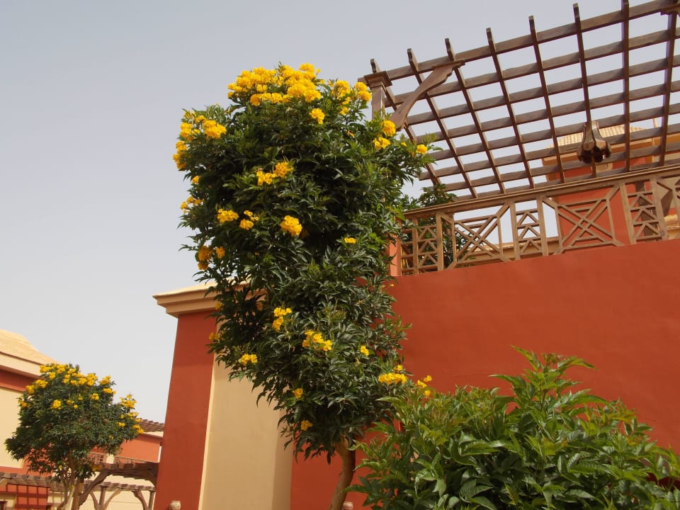 Вид Pickalbatros Alf Leila Wa Leila Resort - Neverland Hurghada