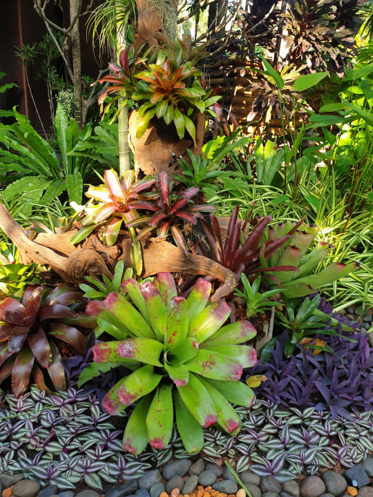 Gartenanlage Avani Pattaya Resort