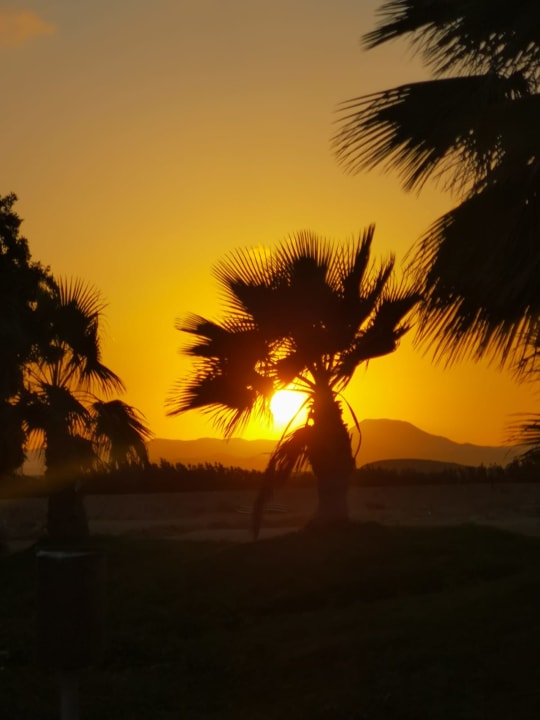 Ausblick Three Corners Sea Beach Resort