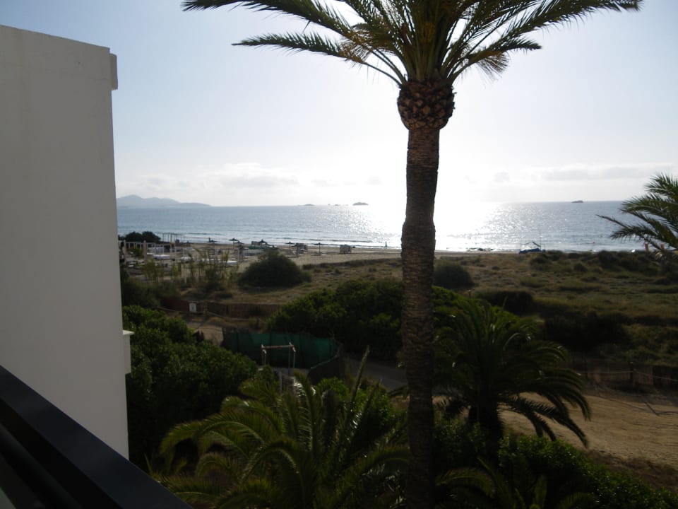 Zimmer mit Palme vor der Nase Grand Palladium Select Palace Ibiza