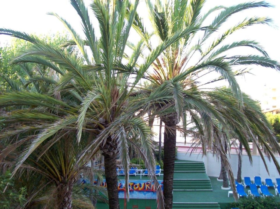 Balkon Globales Cala Bona